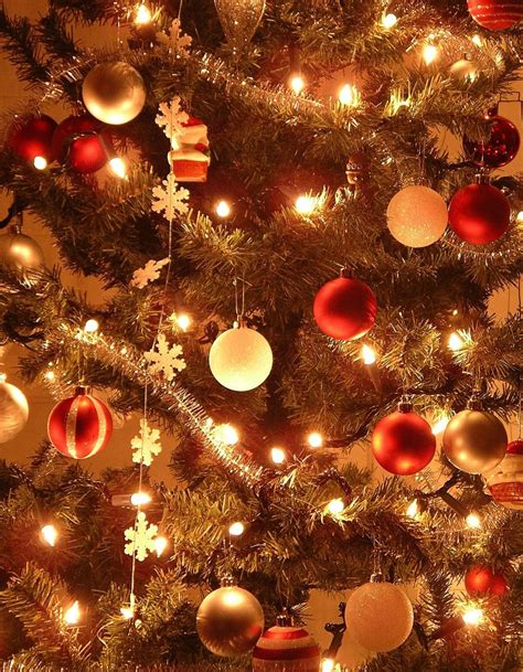 christmas stock images|Christmas\ Photos, Download The BEST Free Christmas\ Stock .